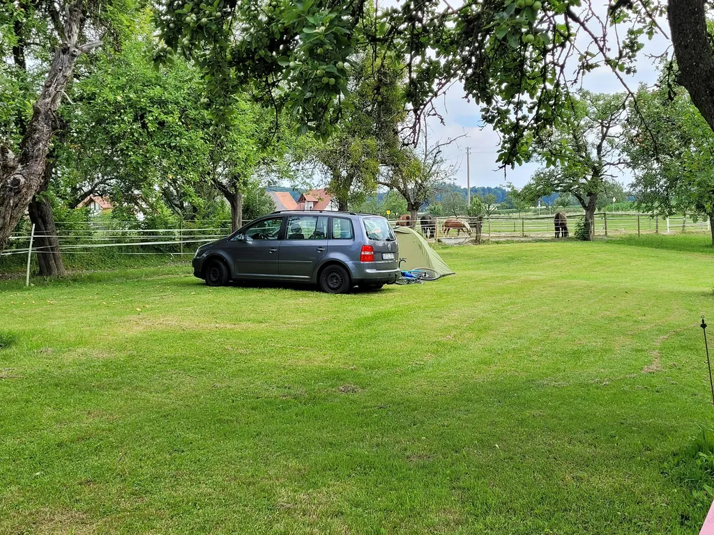 Idyllisches Plätzchen im Obstgarten