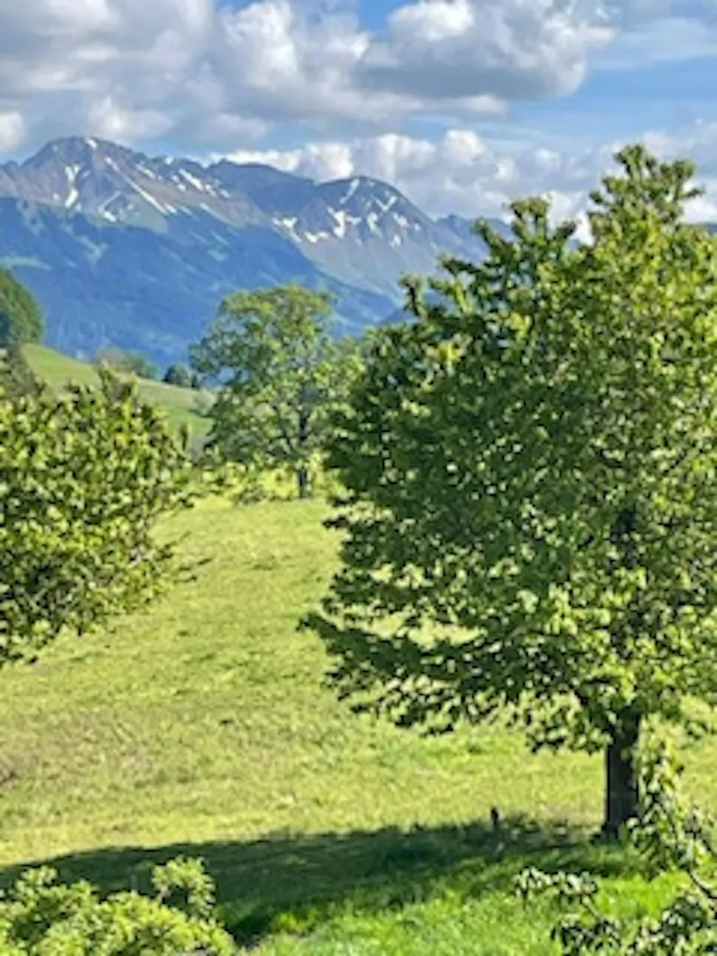 Wo einst die Ritter lebten