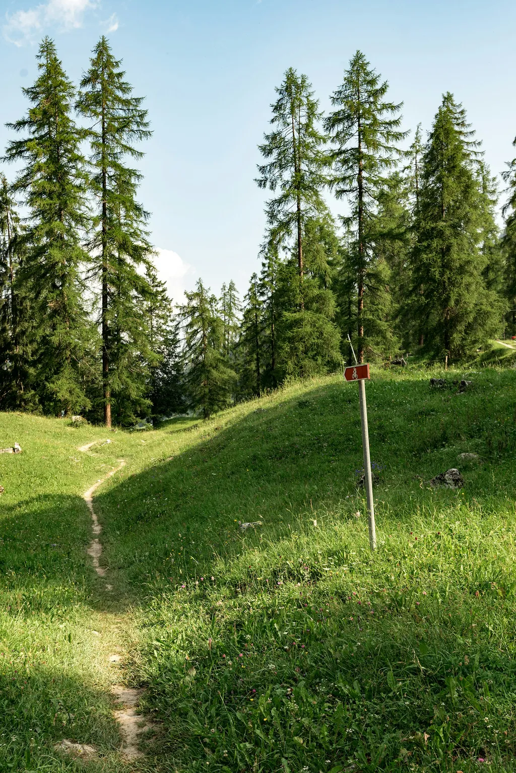 Camp Stettli