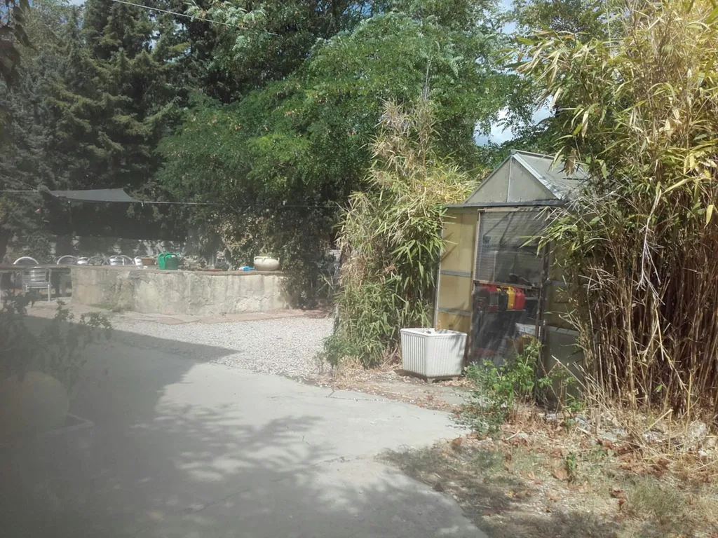 Kleiner Hof mit