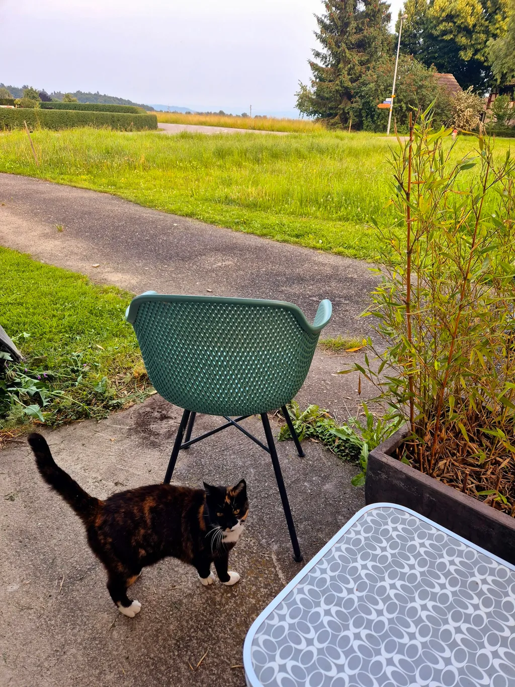 Auf dem schönen Seerücken