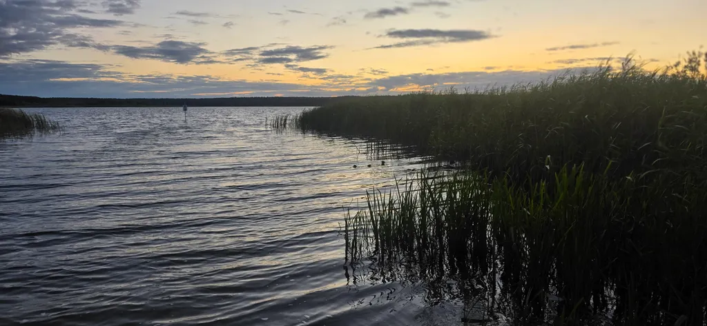 Bild von Kerstin für den Spot 1346