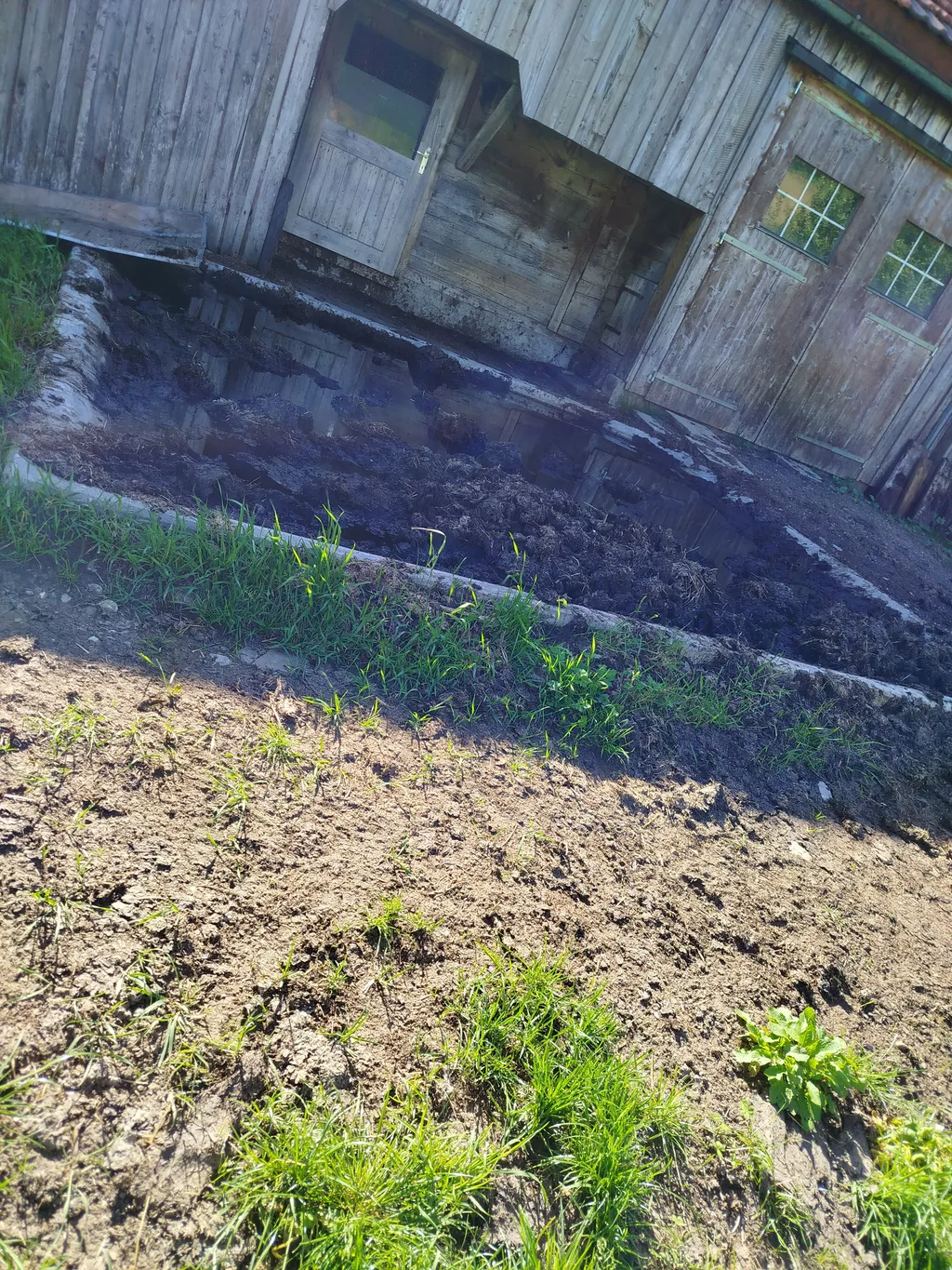 Ruhiger Platz in der Natur
