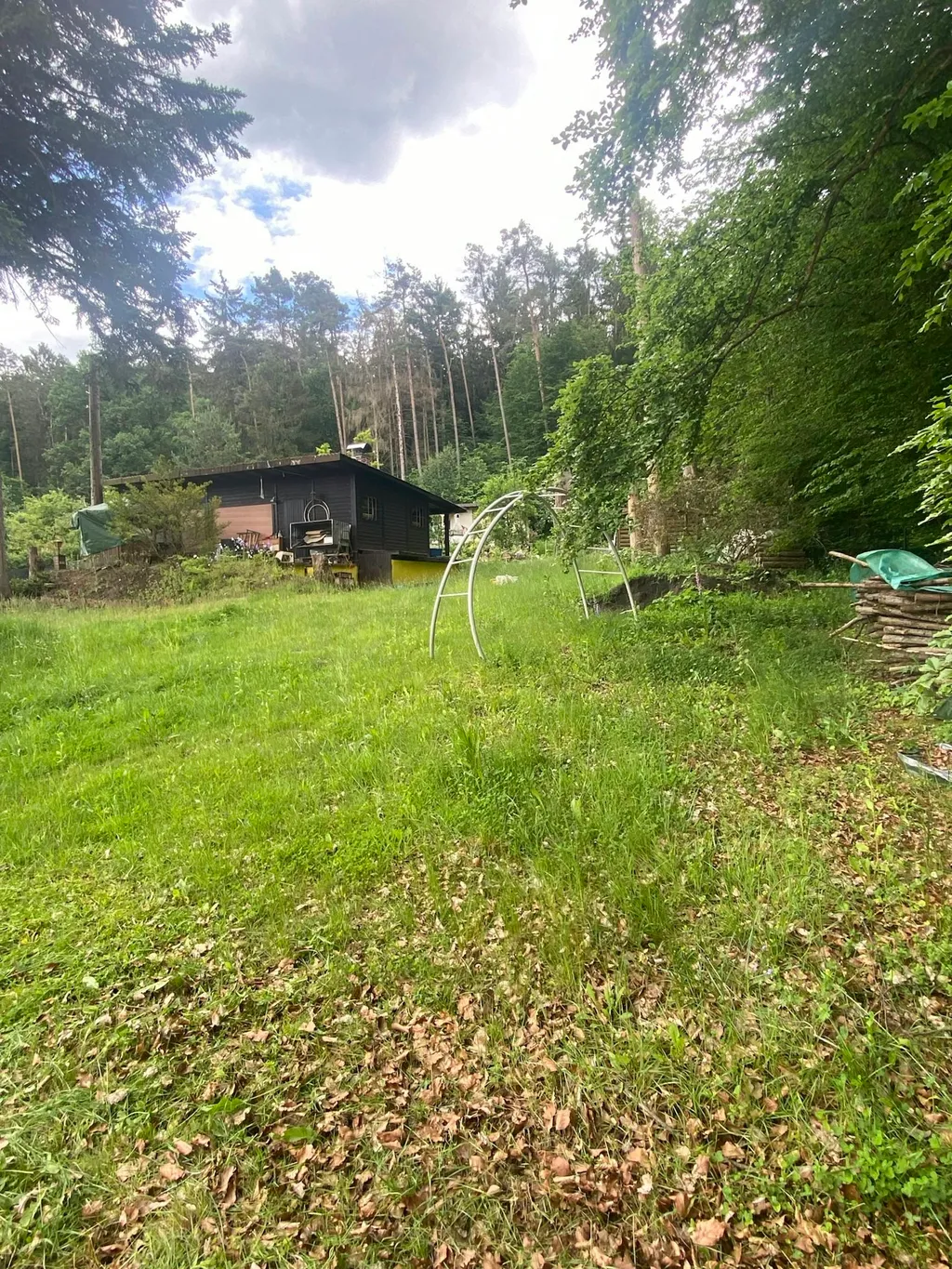 Gartengrundstück im Wald