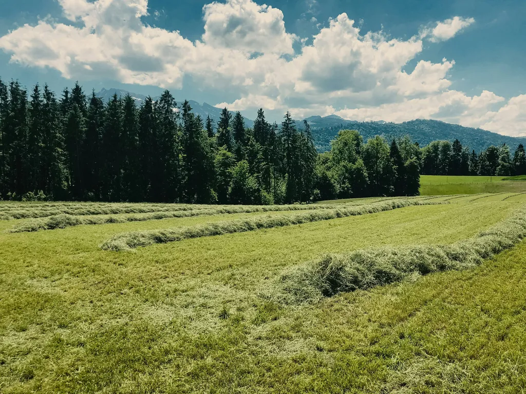 Camp auf dem Bauernhof am Waldrand