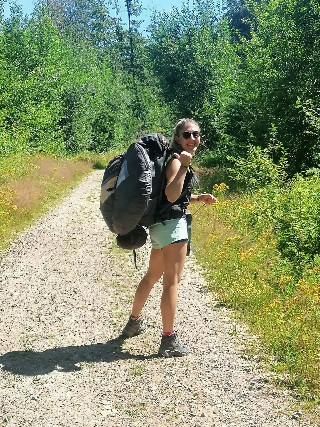 Profilbild von Verena