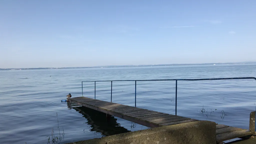 Wunderbare Sicht über den See Richtung Deutschland – eintauchen und geniessen.
Sogar die Ente spürt, wo es richtig gemütlich ist.