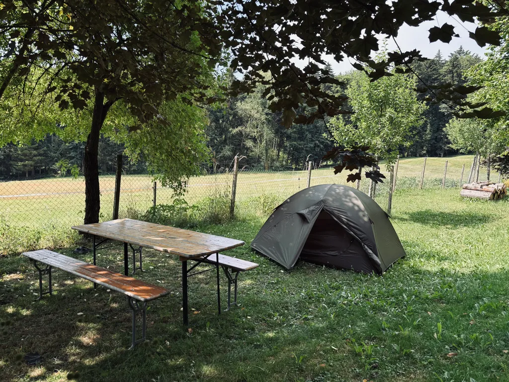 Zelten im Tannenmoos