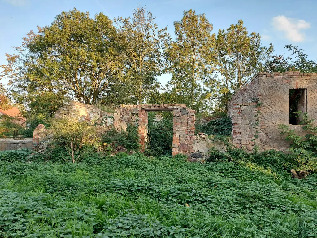 Natur pur im Tollensetal (MV)