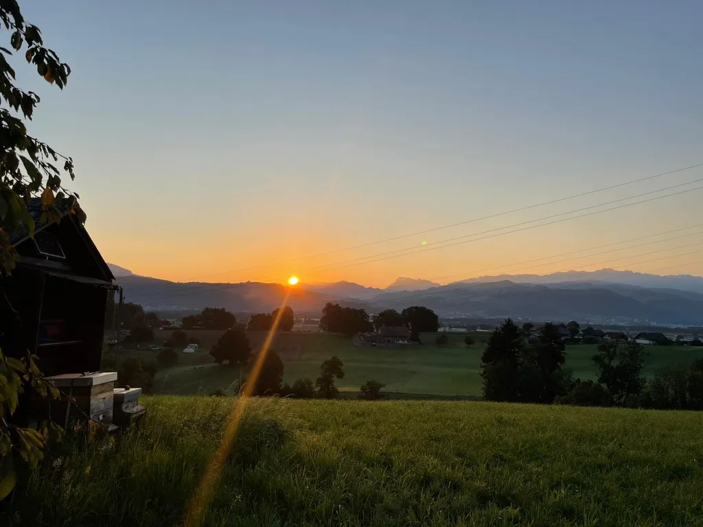 Bild von Ronny für den Spot 245