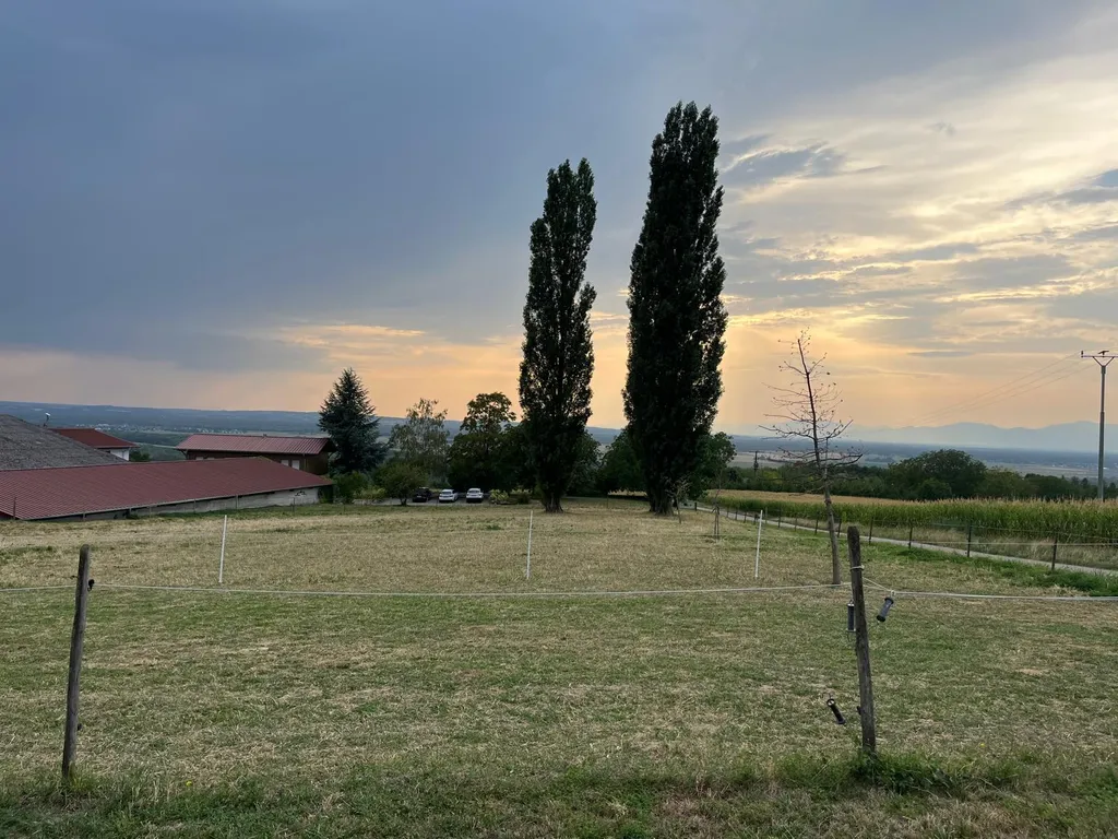 Wiese am Bauernhof mit Panoramablick Berge Fluss