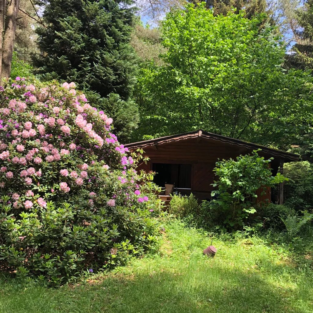 Profilbild von Thilo