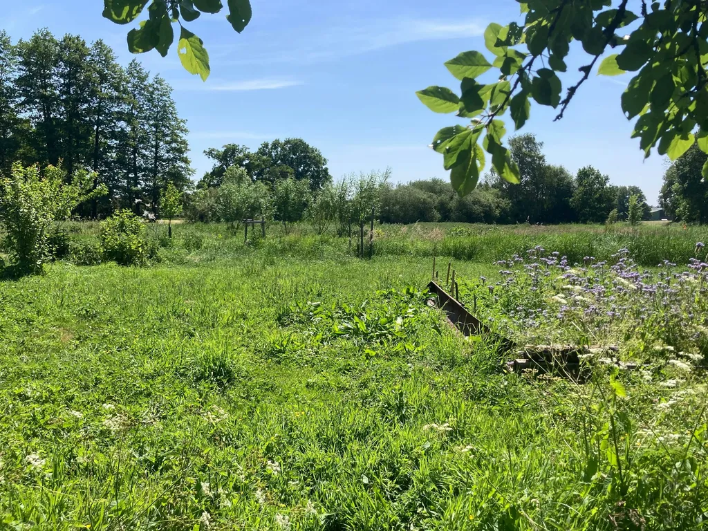 Zeltplatz unterm Apfelbaum