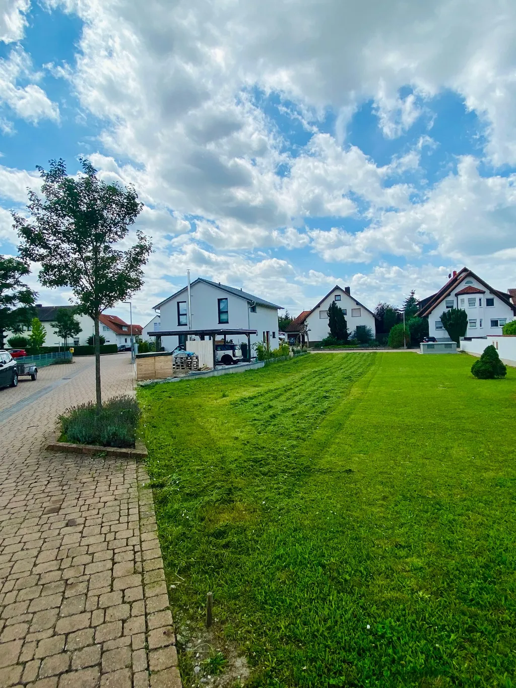 Zwischen Rhein und Reben