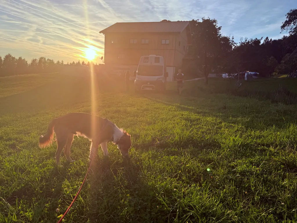 Bild von Kryštof für den Spot 3357