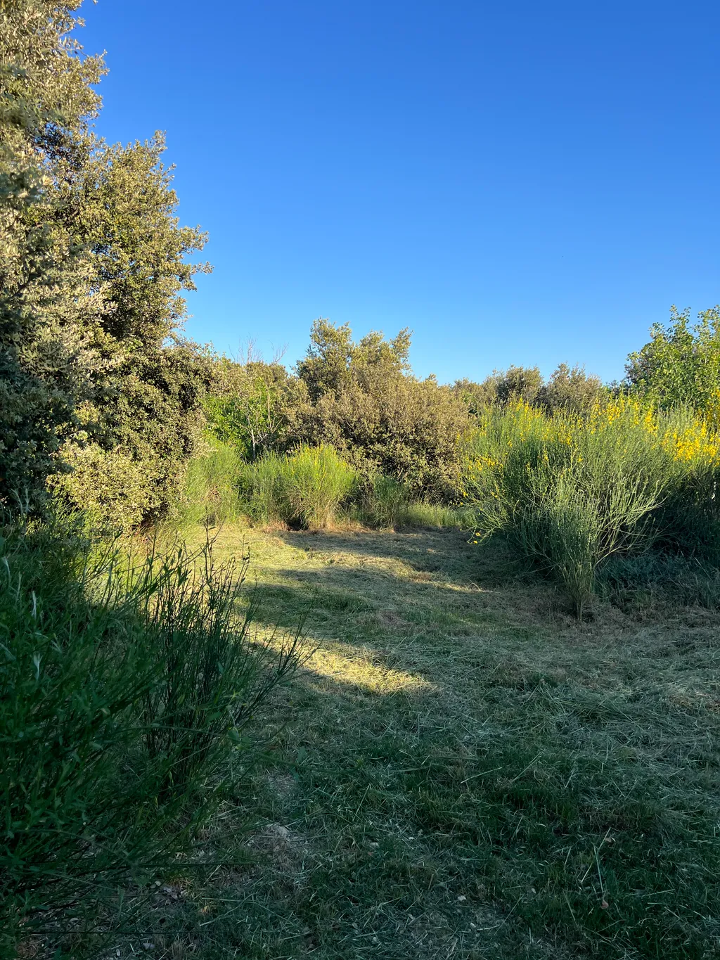 Détente au coeur de la Drôme