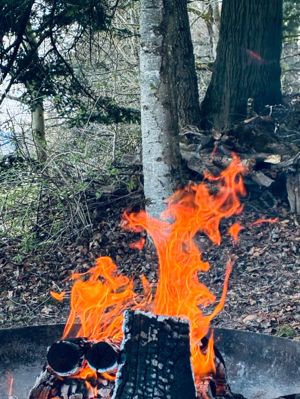 Bild von Pawel für den Spot 378