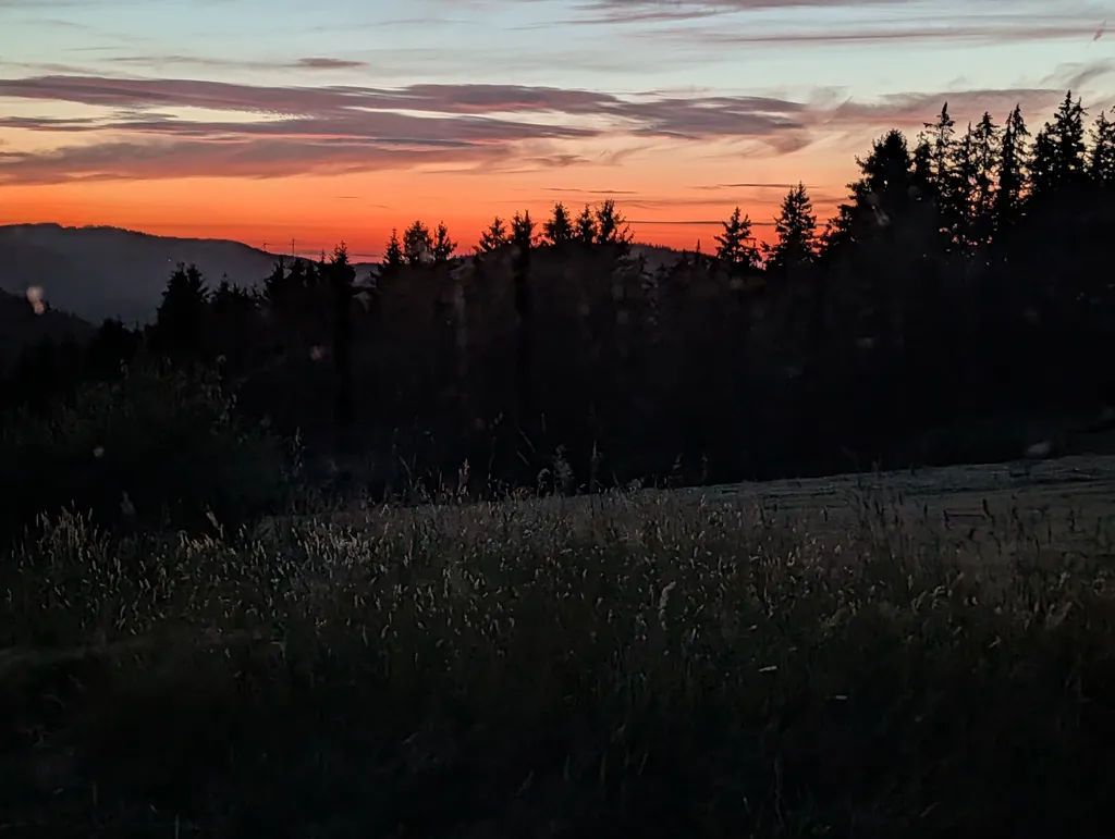 Bild von Elke für den Spot 5226
