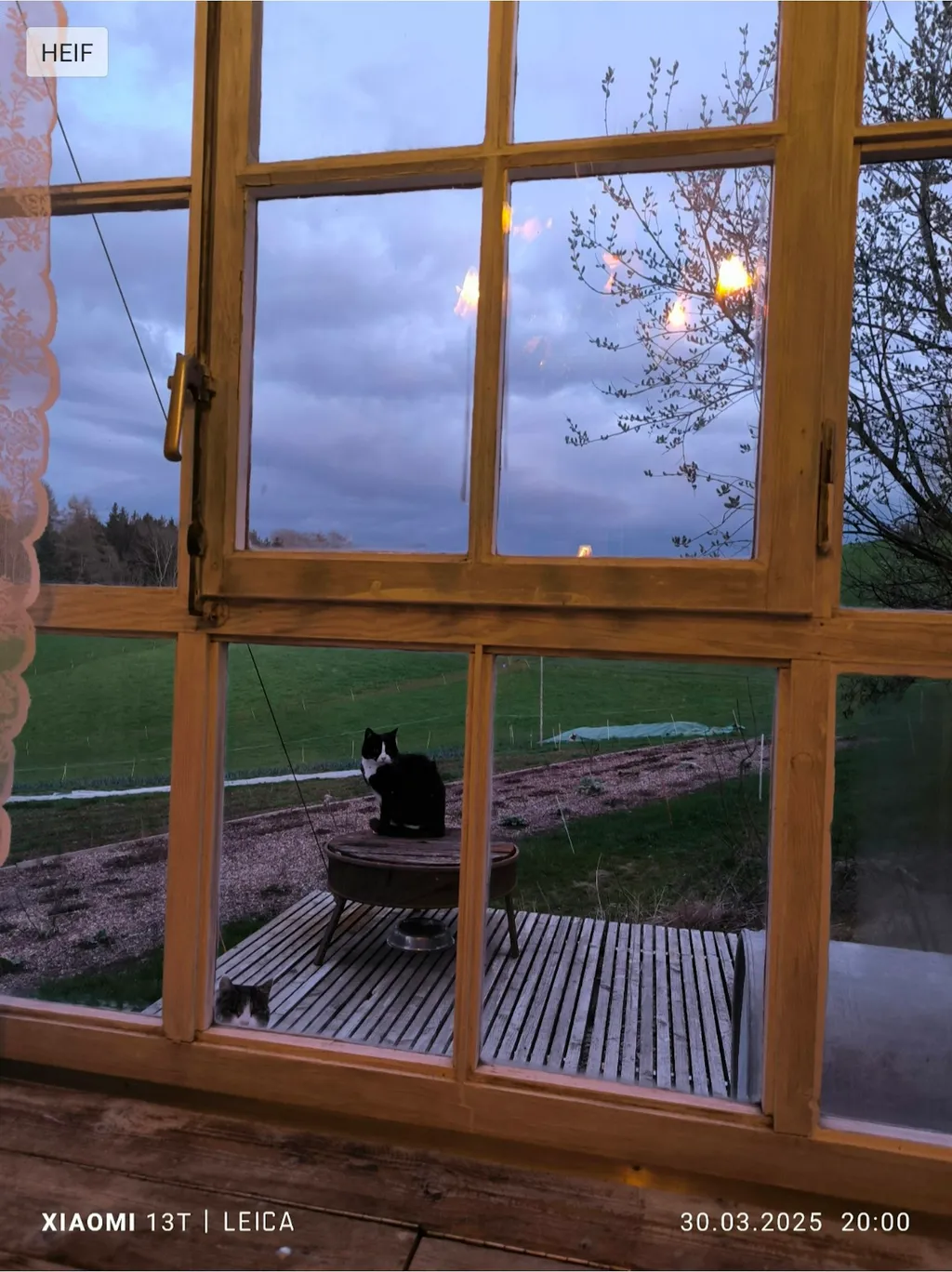 "Homster" mein Container mit Charme