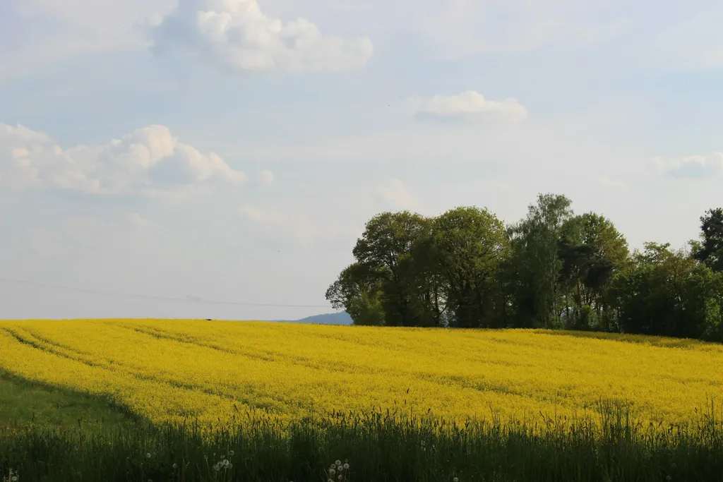 Wildromantik Camp in der Oberpfalz