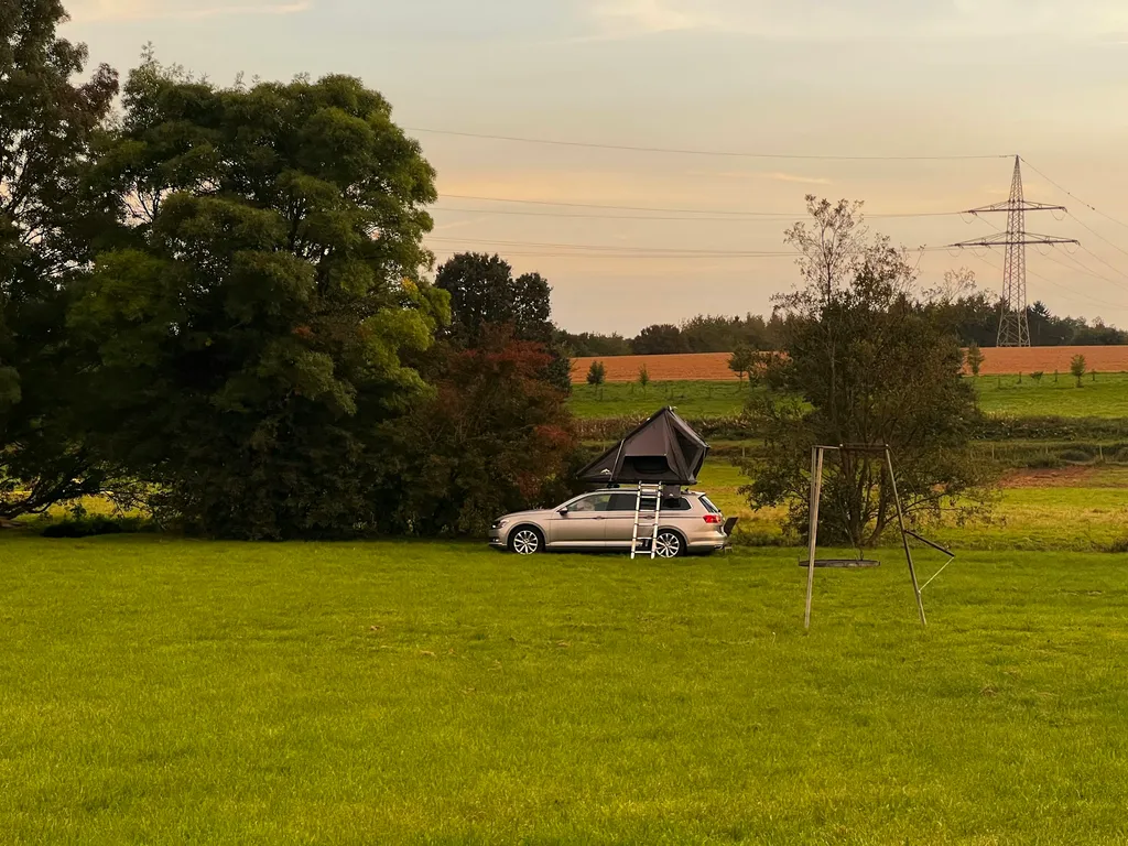 Schöne Wiese an zwei kleinen Bächen