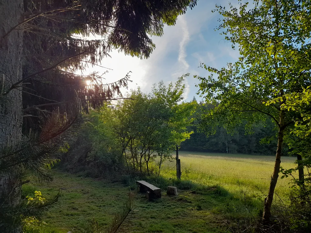 Spessart - Idylle