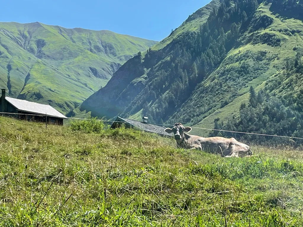 Profilbild von Andreas