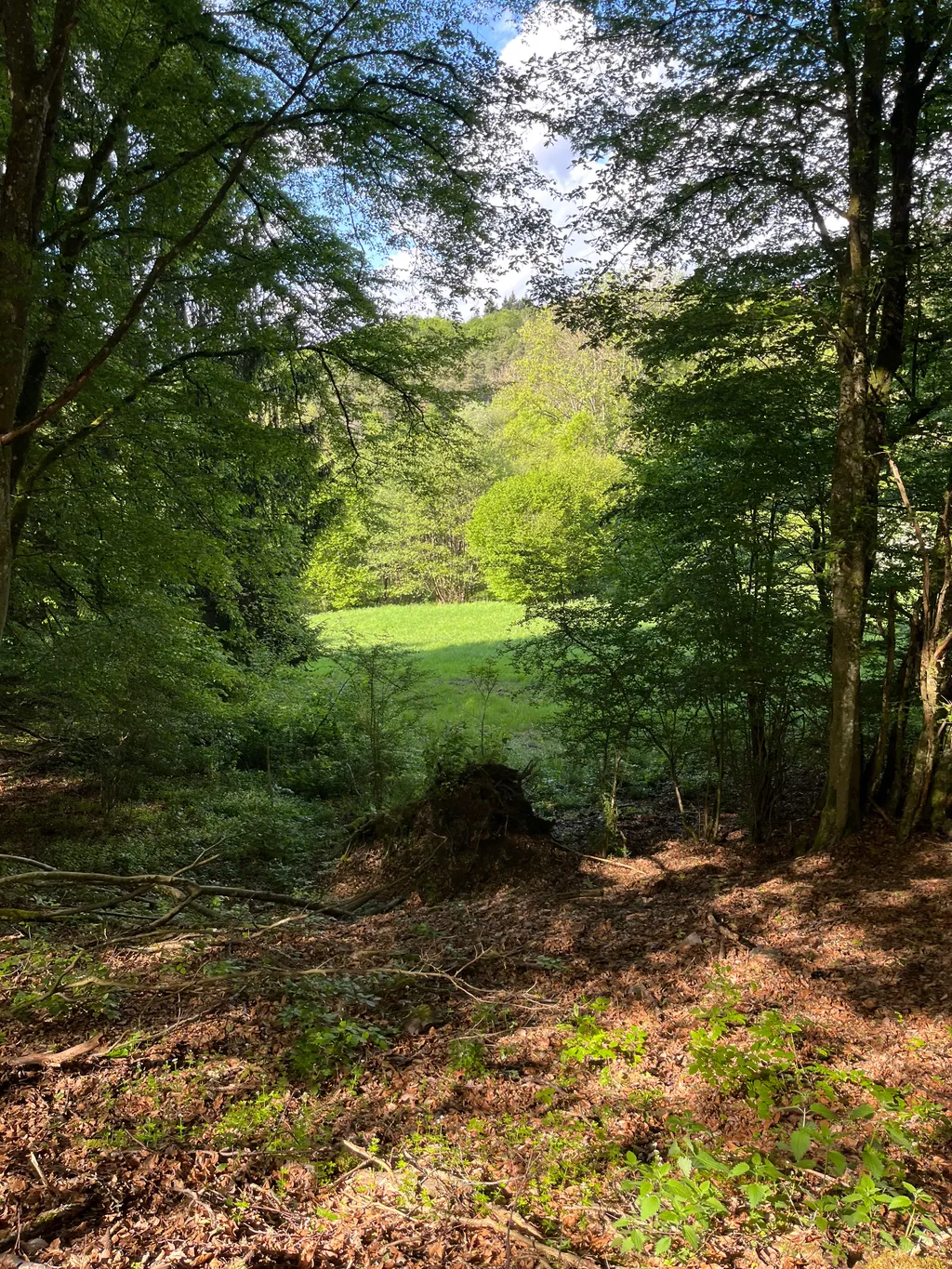 Naturstellplatz mitten im Grünen