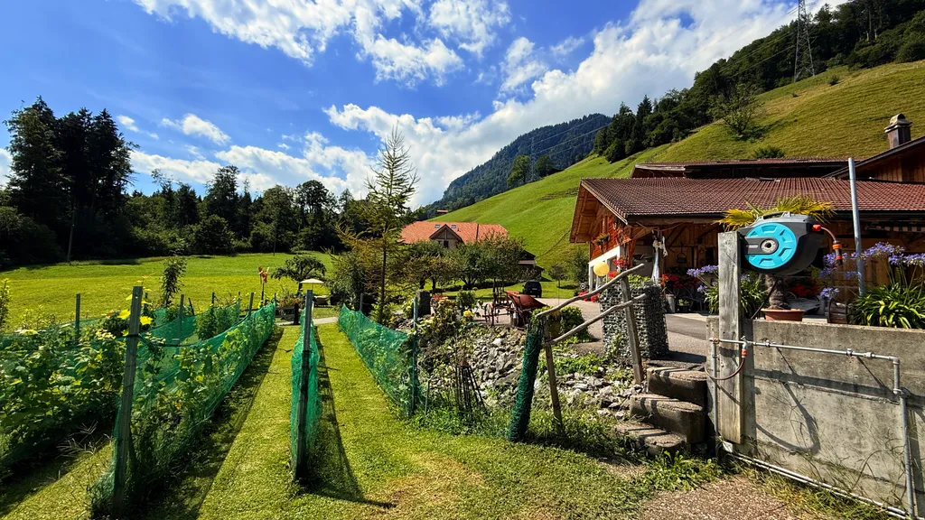Bild von Roland für den Spot 3538