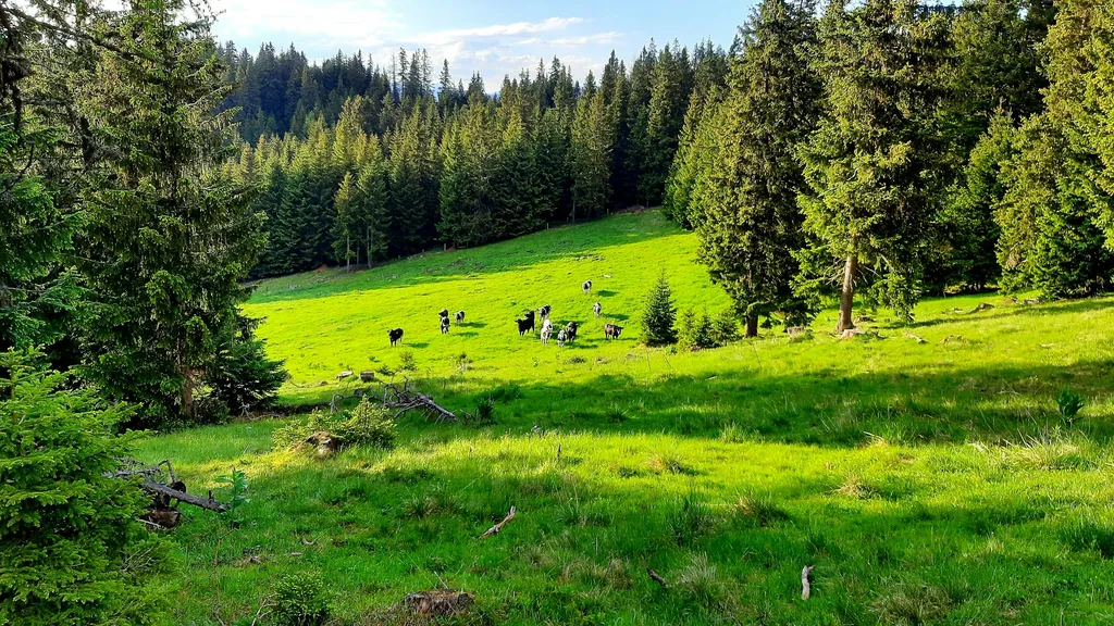 Platzl beim Moar