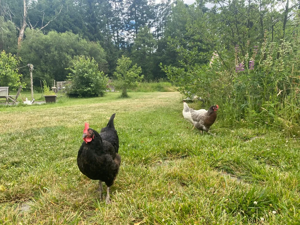 Ruhiges Plätzchen am Waldrand