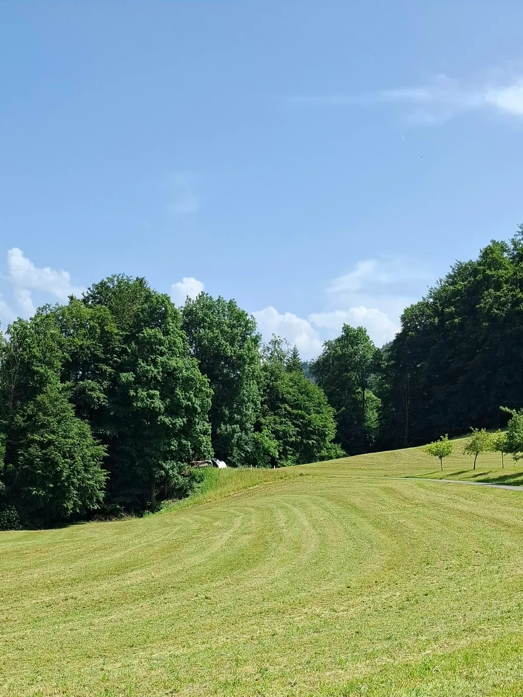 Sicht zum Camp