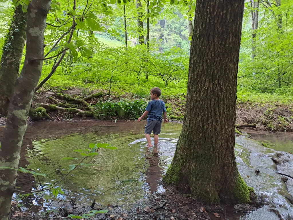 Verschiedene Bächlein in der näheren Umgebung laden zum Stauen und Plantschen ein