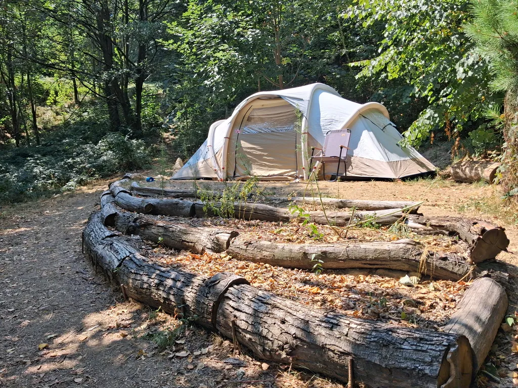 Off grid nature campsite in private forest garden
