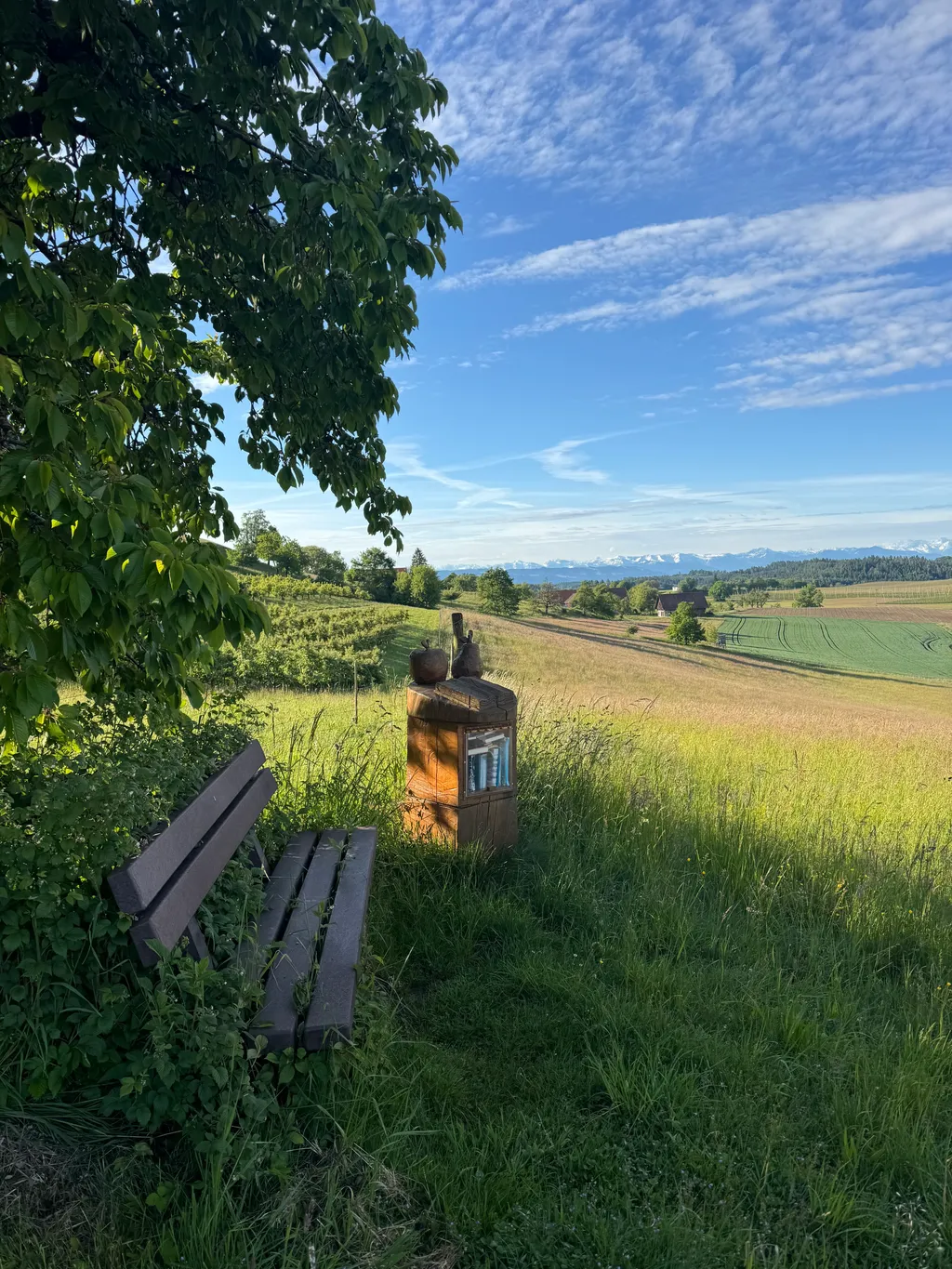 Bild von Verena für den Spot 4950