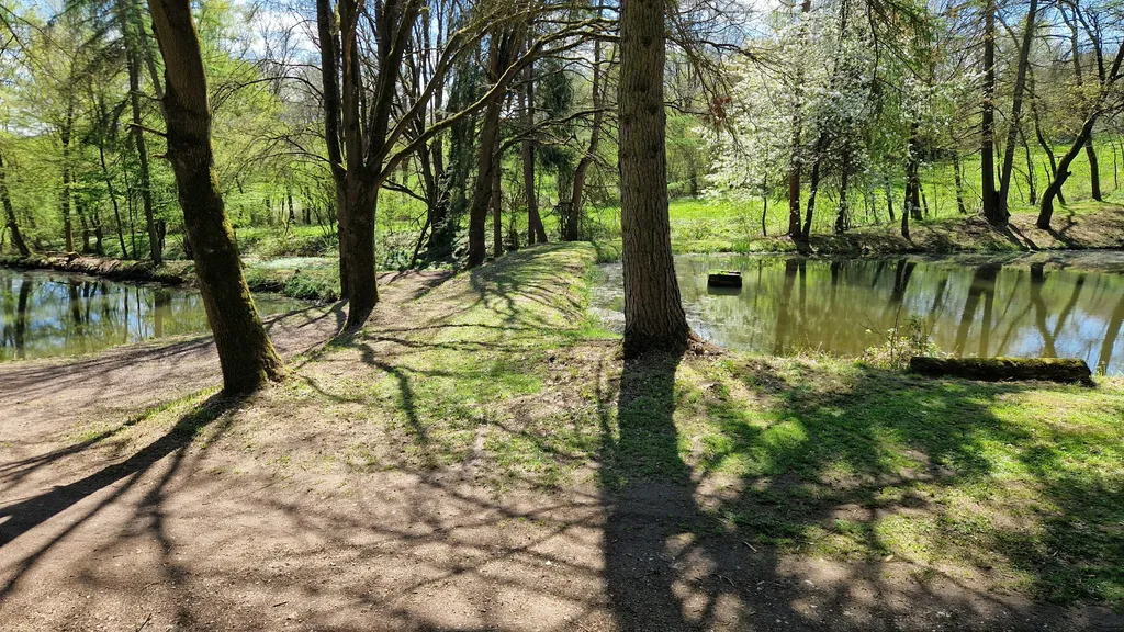 Teich im Wald, sehr ruhig 25000m2