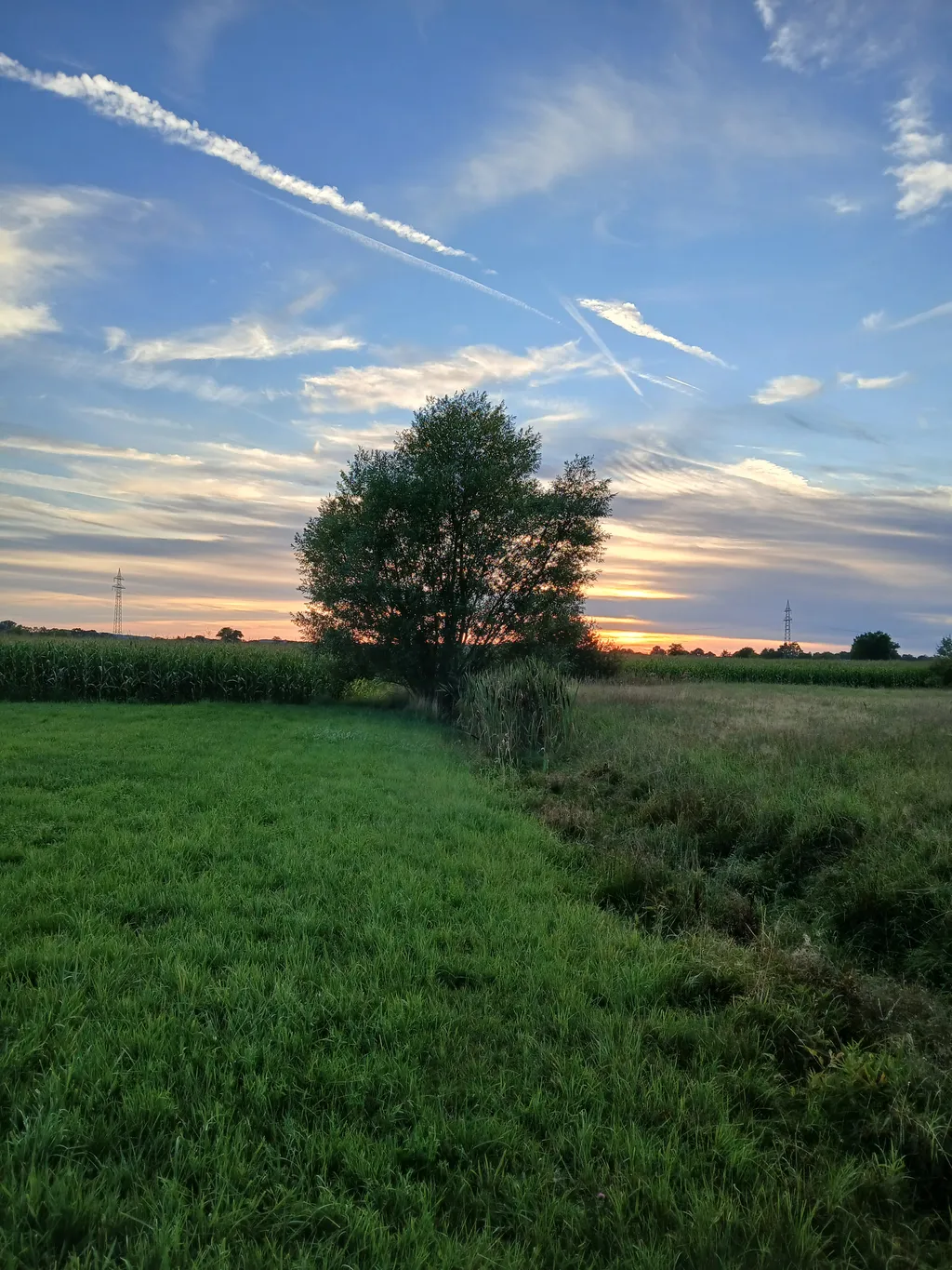 Bild von Markus für den Spot 1481