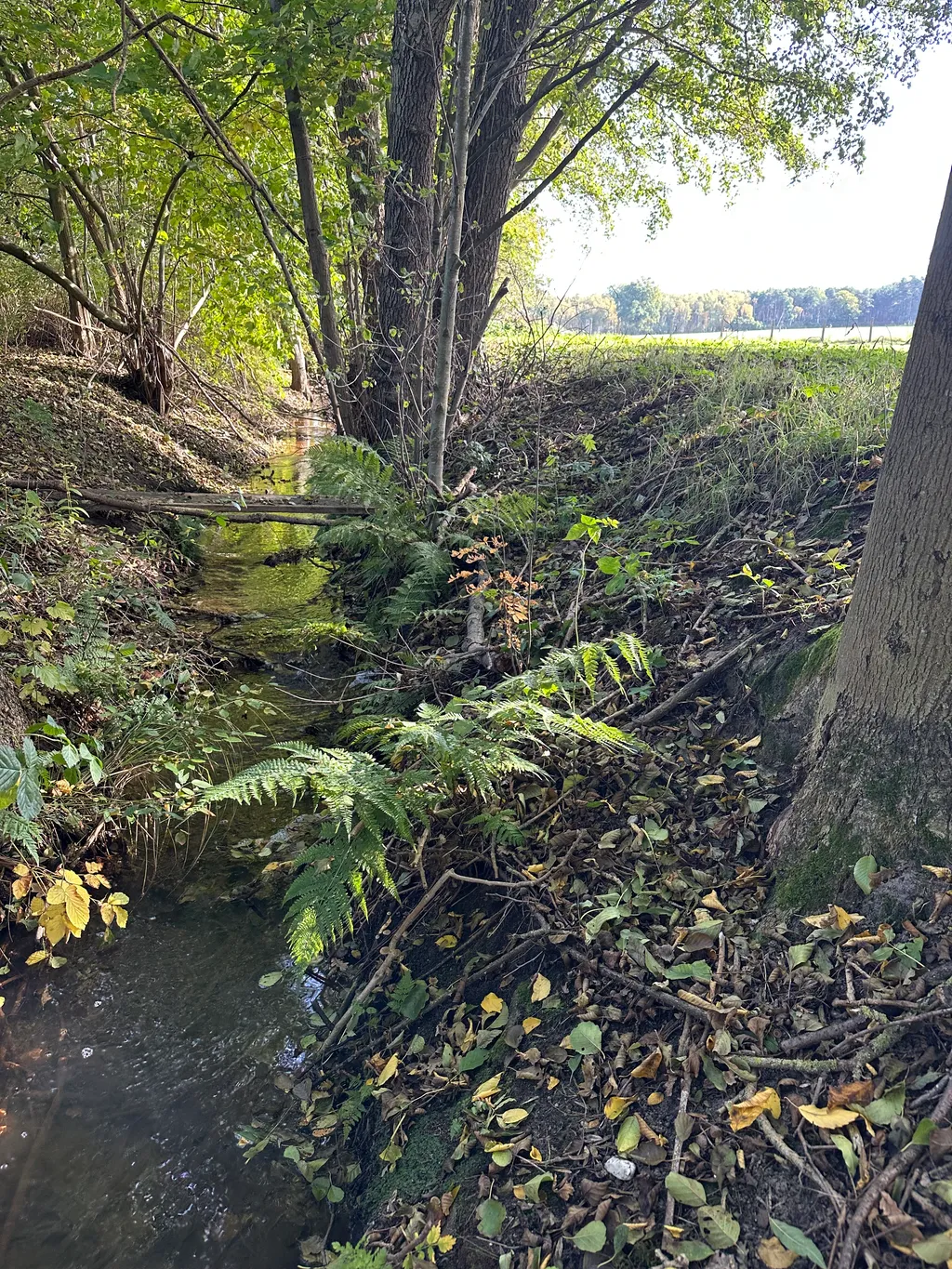 Bild von Stefan für den Spot 4454