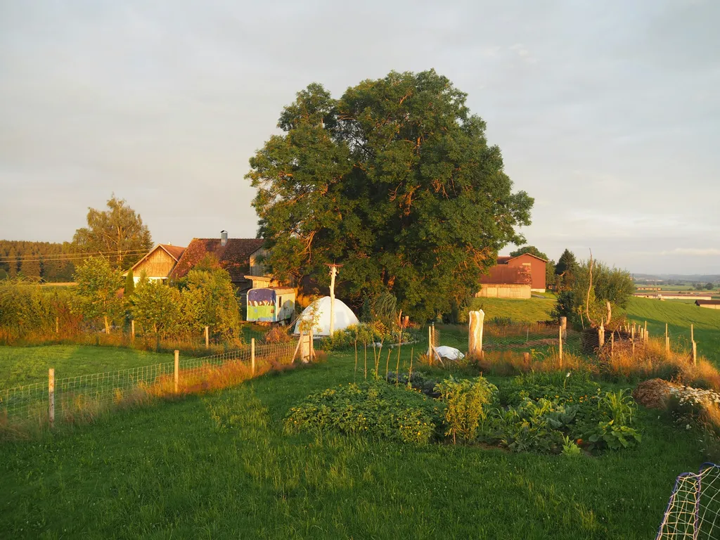 Gartenfreude beim Bergbauer