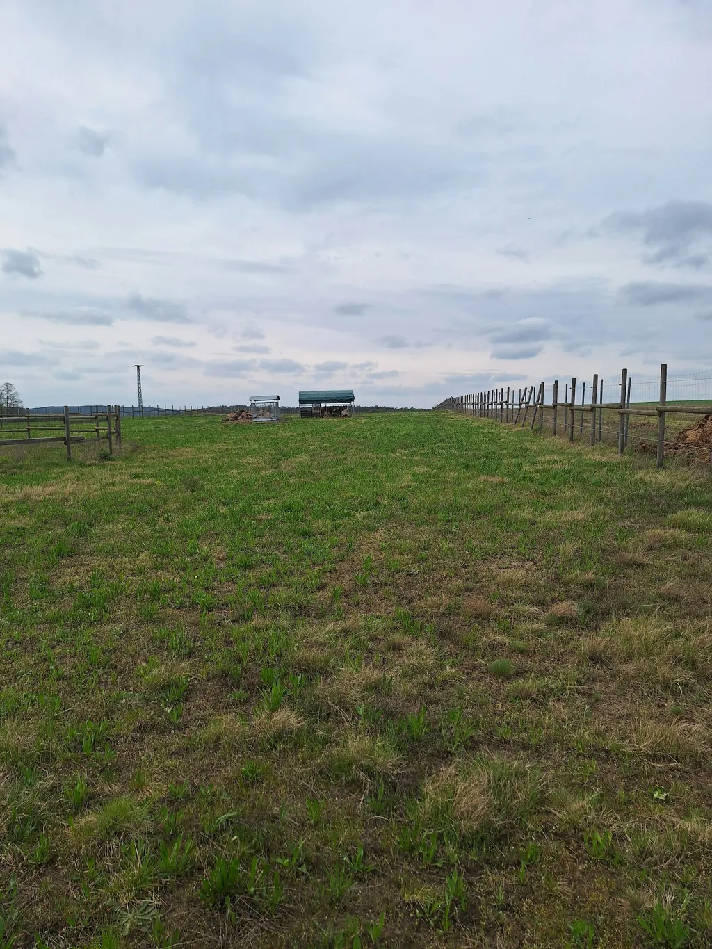 Abgelegene Ponywiese mit Sicht