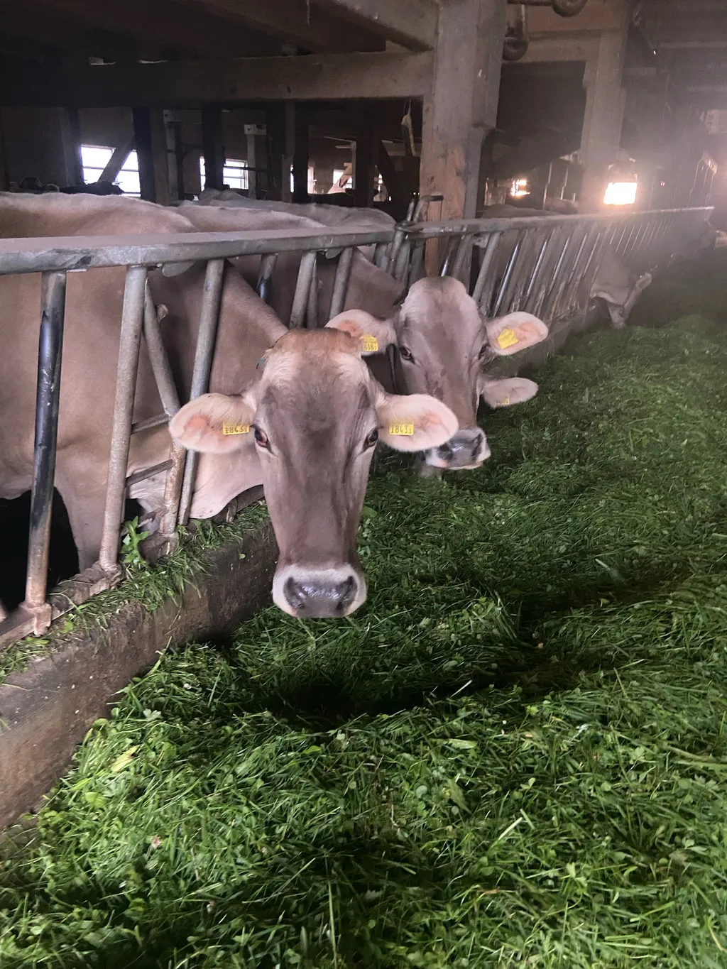 Bild von Ingrid für den Spot 560