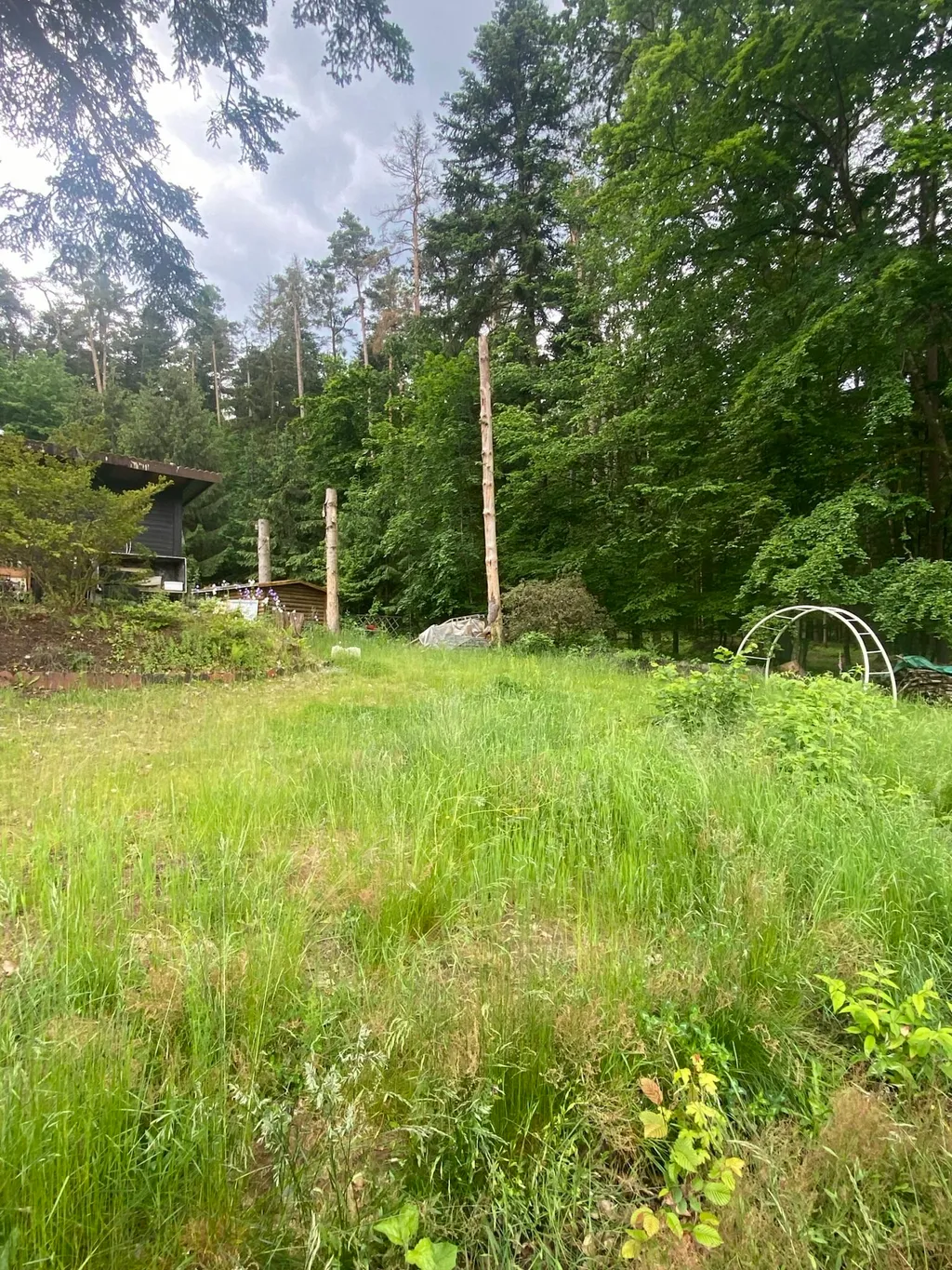 Gartengrundstück im Wald