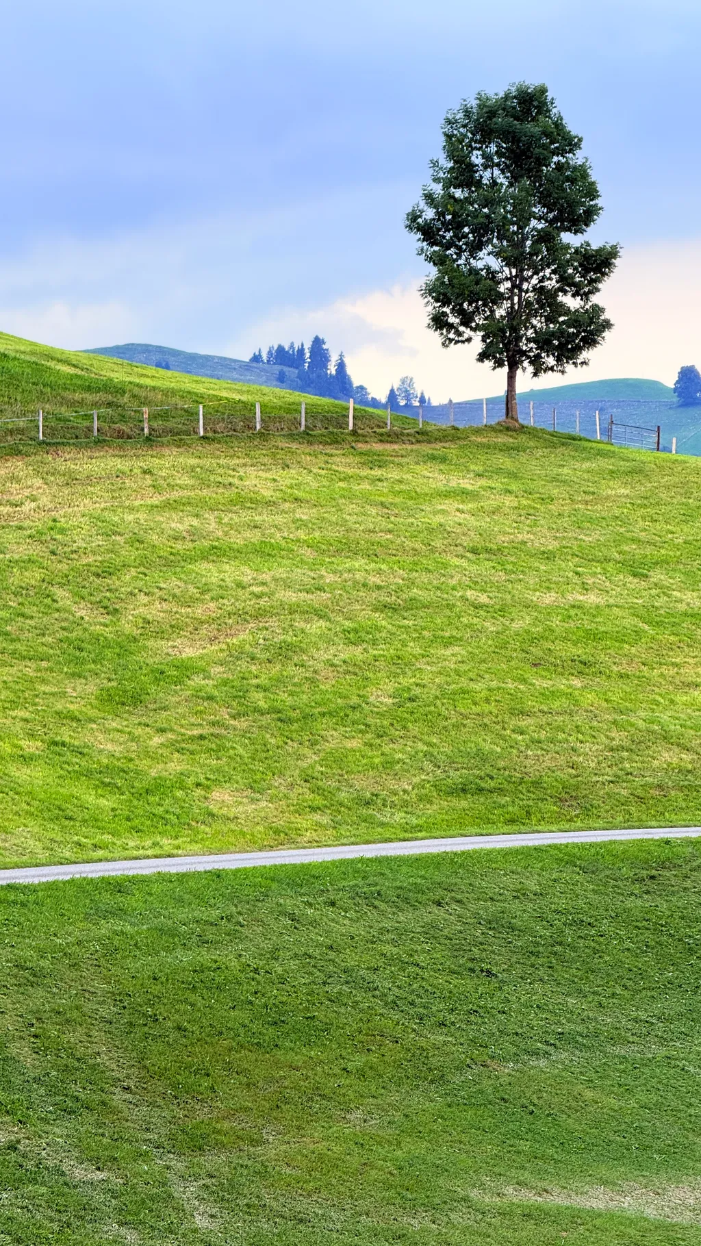 Bild von Roland für den Spot 1235