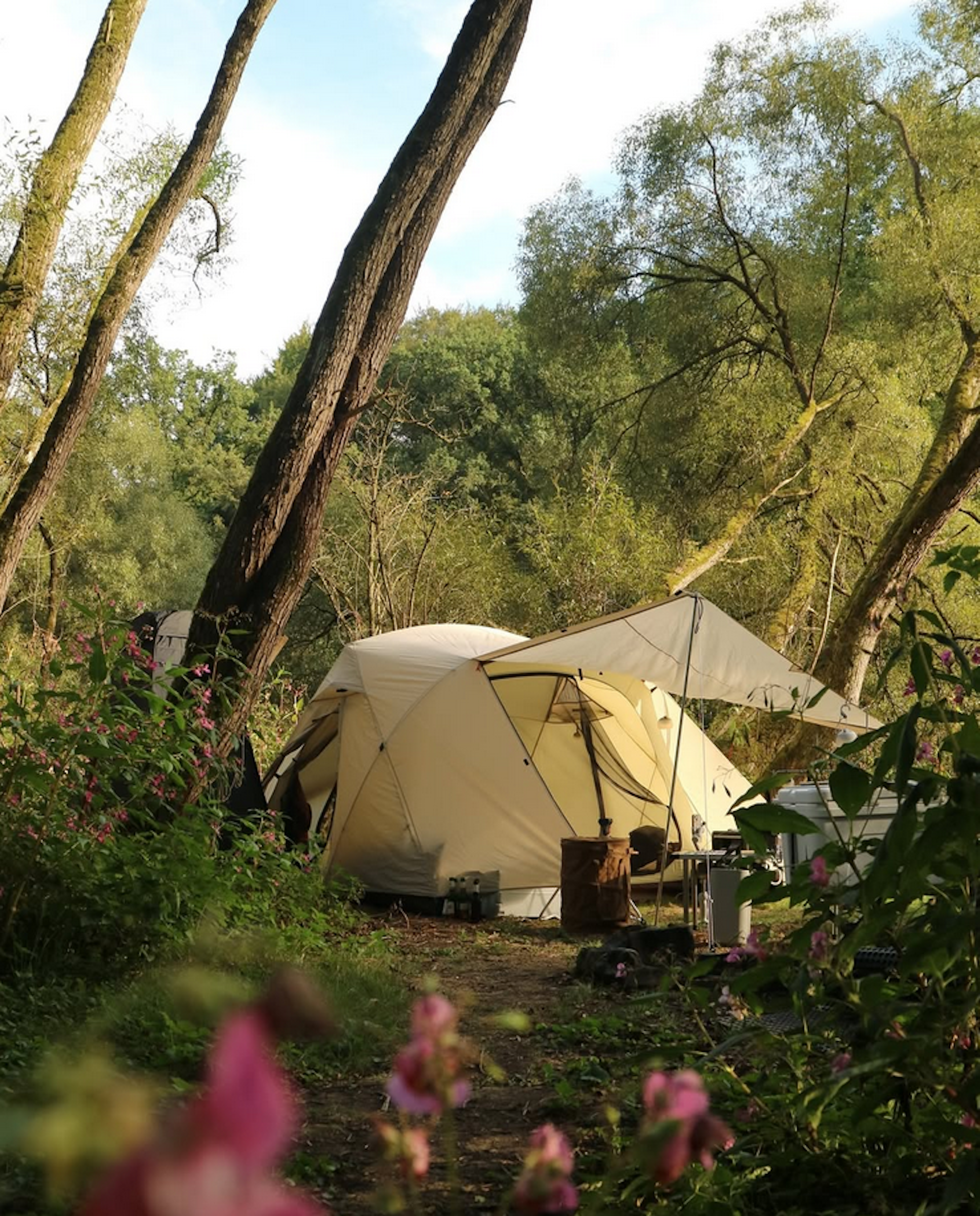 Zeltplatz am kleinen Saynbach