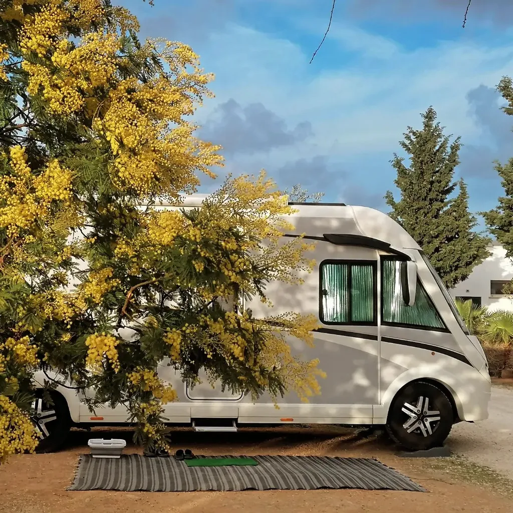 Spring in the Camping