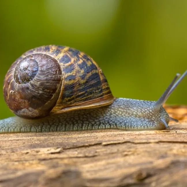 Profile picture of Janine