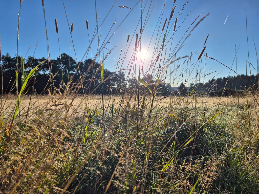 Eifel! Zwischen Bauernhöfen inmitten der Natur