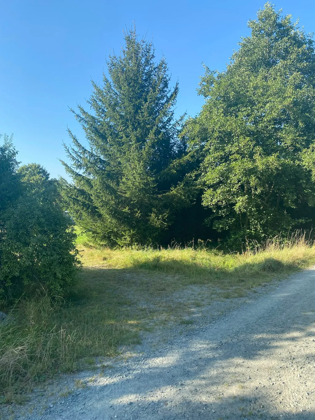 Camping am Lindenbaum