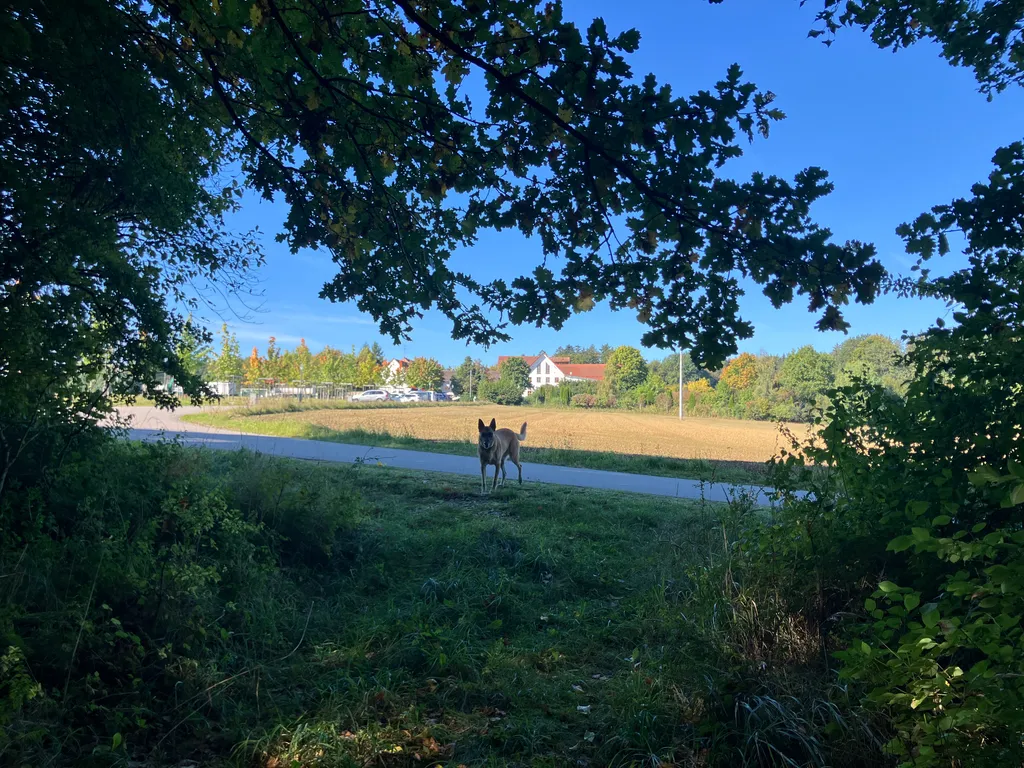 Bild von Silvia De La Cruz für den Spot 1556