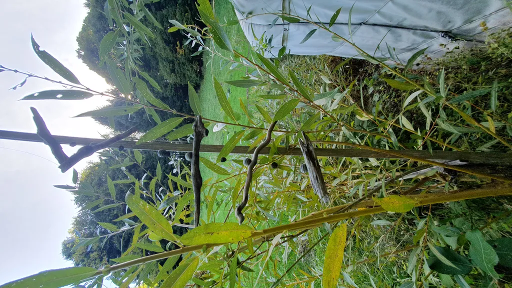 Bild von vanessa für den Spot 1285